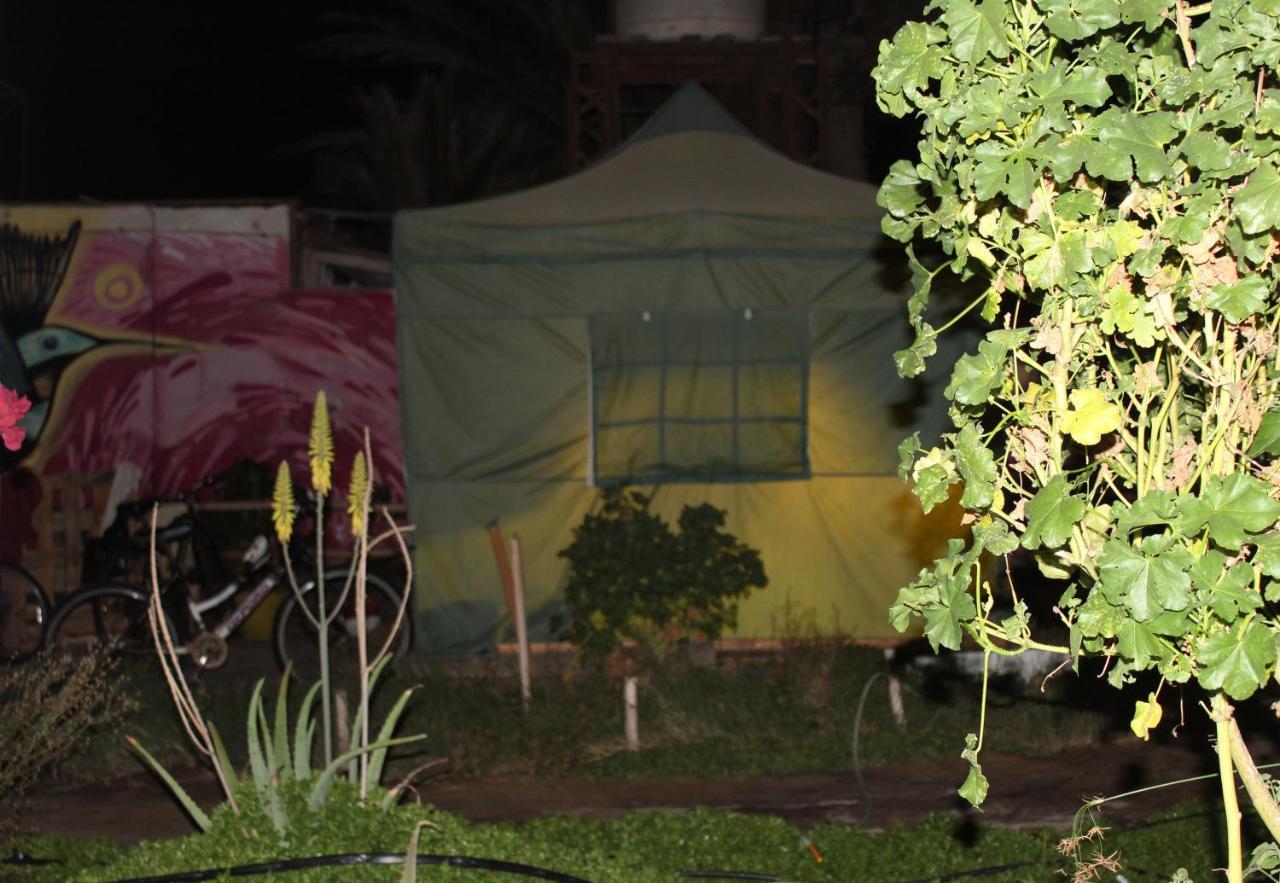 Hostel La Posada Gallo Arica Extérieur photo