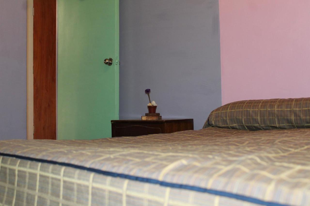 Hostel La Posada Gallo Arica Extérieur photo
